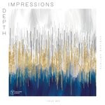 cover: Various - Depth Impressions Issue #25