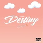 cover: Arson Silva - Destiny (Explicit)