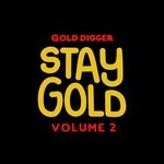 cover: Anvay|Kanetaker|Lupo|Toyzz - Stay Gold Vol 2