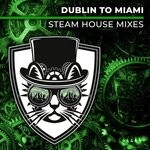 cover: Cats On Bricks - Dublin To Miami