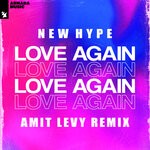 cover: New Hype - Love Again