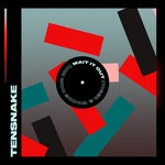 cover: Tensnake - Wait It Out