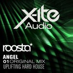 cover: Roosta - Angel