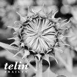 cover: Telin - Frailty