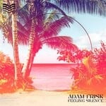 cover: Adam Frisk - Feeling Silence