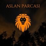 cover: Selcuk Yegen - Aslan Parcasi