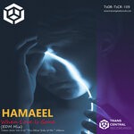 cover: Hamaeel - When Love Is Gone