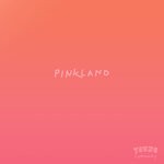 cover: Young Community - Pinkland