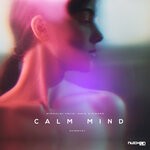 cover: Dave Steward|Miroslav Vrlik - Calm Mind