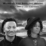 cover: Dj Mac Deep|Lady Albatross - Without You (Soulful House)