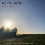 cover: Ruimte Vogel - Down To A Point