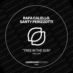 cover: Rafa Calello|Santy Perizzotti - Tree In The Sun