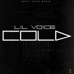 cover: Lilli Voice - Cold