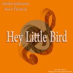 cover: Steen Thottrup|Steffen Gilmartin - Hey Little Bird