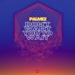 cover: Palmez - Don't Want You To Wait