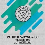 cover: Dj Threejay|Patrick Wayne - Got The Feeling