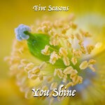 cover: Five Seasons - You Shine