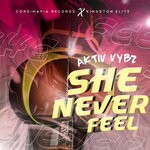 cover: Aktiv Vybz - She Never Feel