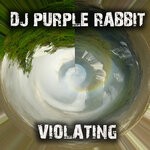 cover: Dj Purple Rabbit - Violating