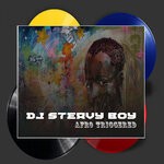 cover: Dj Steavy Boy - Afro Triggered