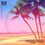 cover: Arnold Horn - Perfect Smile