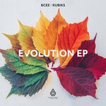 cover: Bcee|Kubiks - The Evolution EP