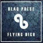 cover: Blaq Pulse - Flying High