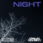 cover: Dreadnought - Night