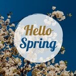 cover: Various - Hello Spring