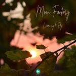 cover: Moon Factory - Learning To Fly