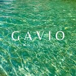 cover: Gavio - Turn It Into Something Else