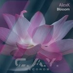 cover: Alexk - Blossom (Original Mix)