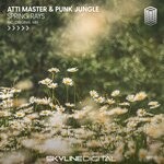 cover: Atti Master|Punk Jungle - Spring Rays