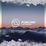 cover: Punchim - Vast Memory