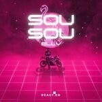 cover: Dj Elly - Sou Sou