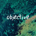 cover: Berisdon - Objective