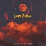 cover: Andrei Rinaldi|Enjoy - Love Tonight