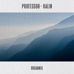 cover: Professor (ro) - Kalin