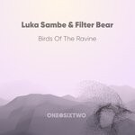 cover: Filter Bear|Luka Sambe - Birds Of The Ravine