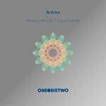 cover: Antrim - Missing Words