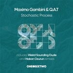 cover: Maximo Gambini|Q.a.t - Stochastic Process