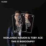 cover: Norlando Namon & Toby Ace - This Is Bigroompsy