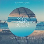 cover: Pascal Letoublon|Suprafive - Friendships (Suprafive Remix)