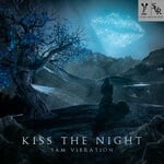 cover: Sam Vibration - Kiss The Night (Original Mix)