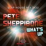 cover: Pete Sheppibone - What's Up (Slap House Mix 2K22)