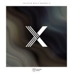 cover: Various - Voltaire Music Pres. X