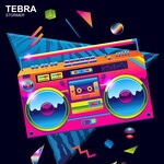 cover: Tebra - Stormer