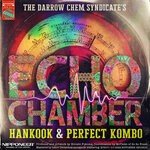 cover: The Darrow Chem Syndicate - Echo Chamber (Hankook & Perfect Kombo Remix)