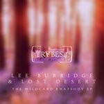 cover: Lee Burridge|Lost Desert - The Wildcard Rhapsody EP