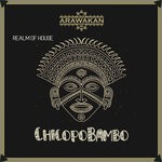 cover: Realm Of House - ChicopoBambo